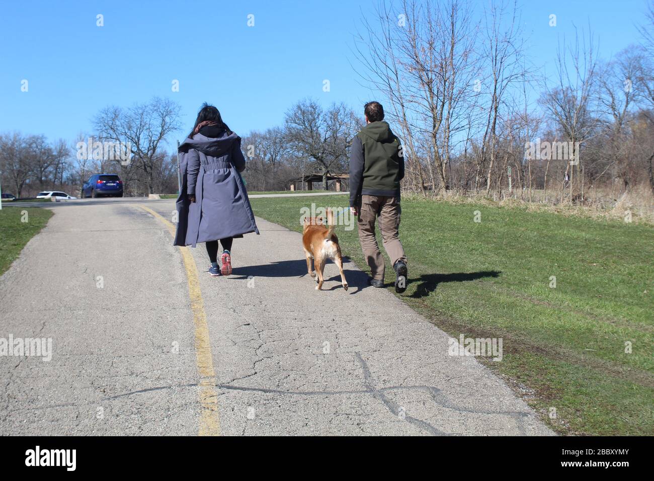 Mann und Frau, die einen Hund auf dem North Branch Trail im Bunker Hills Woods in Chicago gehen Stockfoto