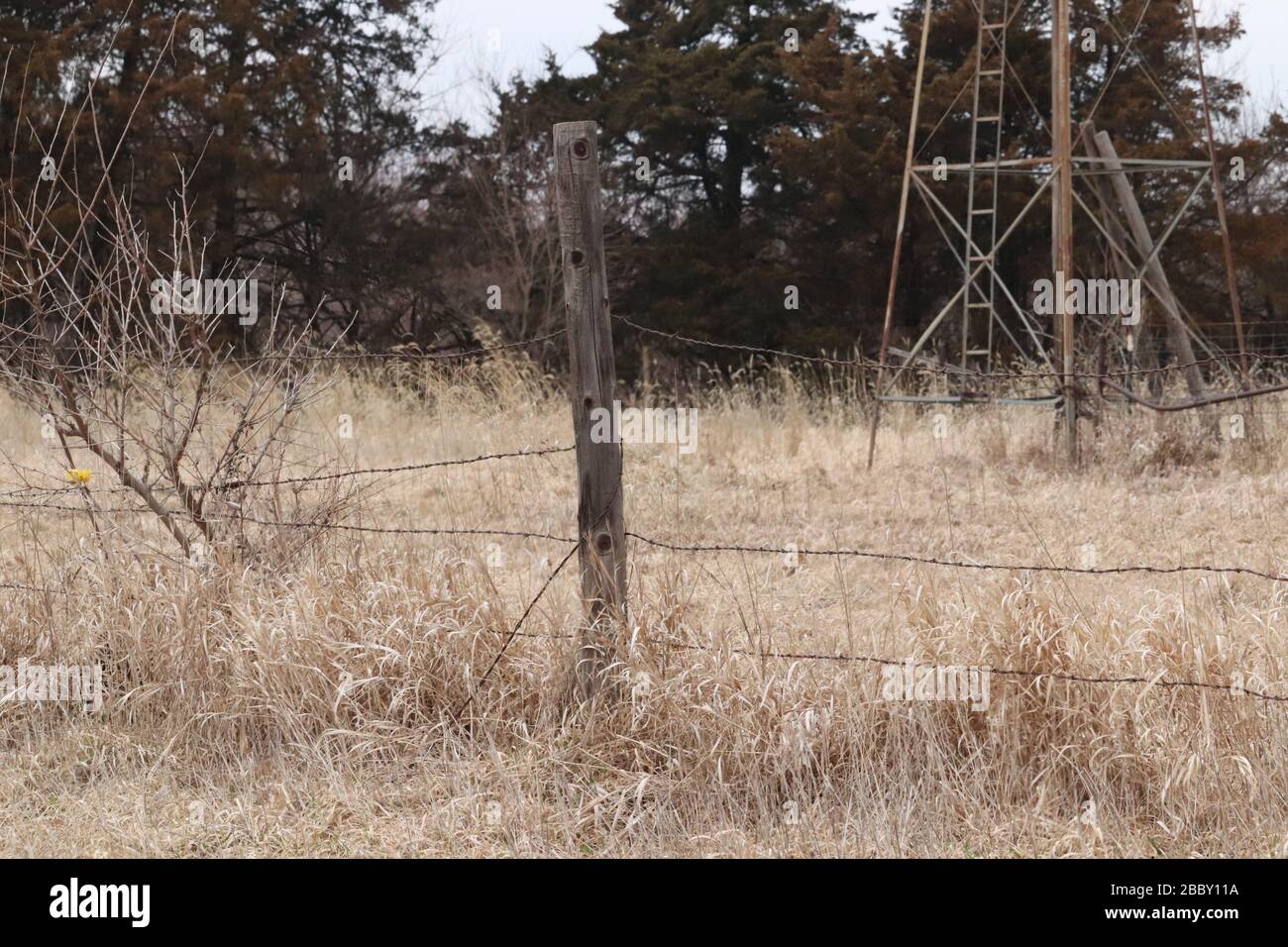 Alter Holzpfosten auf Nebraska-Land Stockfoto