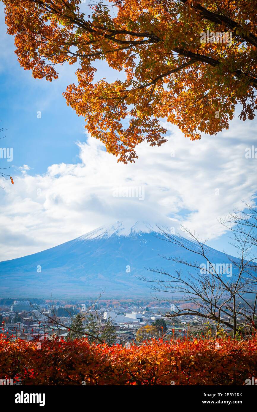 Berg Fuji am bewölkten Tag von Yamanashi, Shimoyoshida - Chureito-Pagode in der Herbstsaison Stockfoto