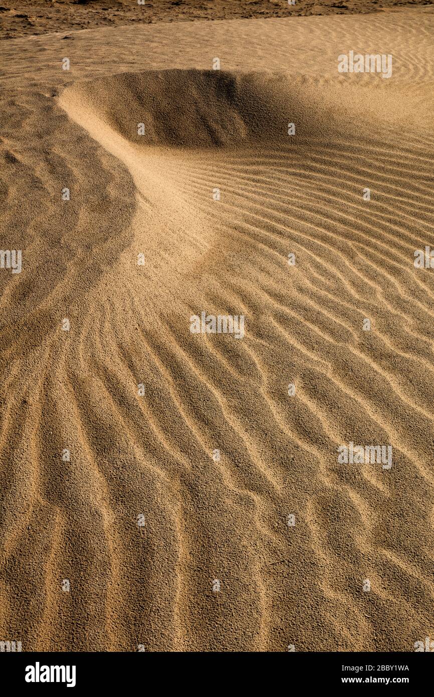 Sandmuster in Farbe, Mesquite Flat Sand Dunes, Death Valley National Park, Kalifornien Stockfoto