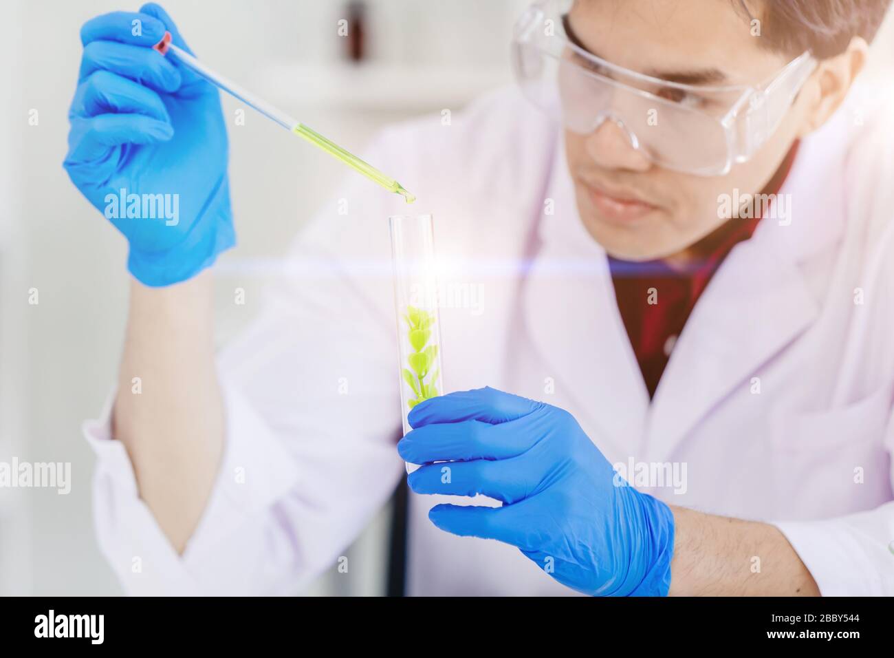 BioScience Wissenschaftler, der im medizinischen Labor an der Erforschung und Entwicklung neuer Medikamente durch natürliche Essenz chemische Extraktion aus Blättern arbeitet, um die Natur sicher zu machen Stockfoto