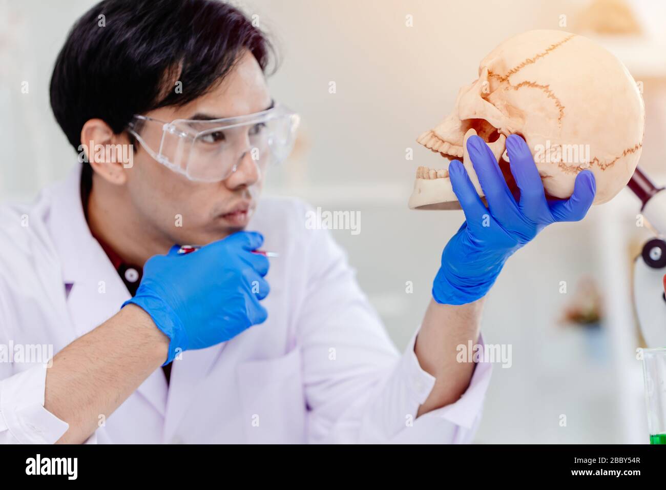 Wissenschaftler Physikalische Anthropologie im Labor der biologischen Wissenschaft, das menschliche Knochen untersucht, fragt sich am Schädel, um das Alter des alten Kopfes zu studieren Stockfoto