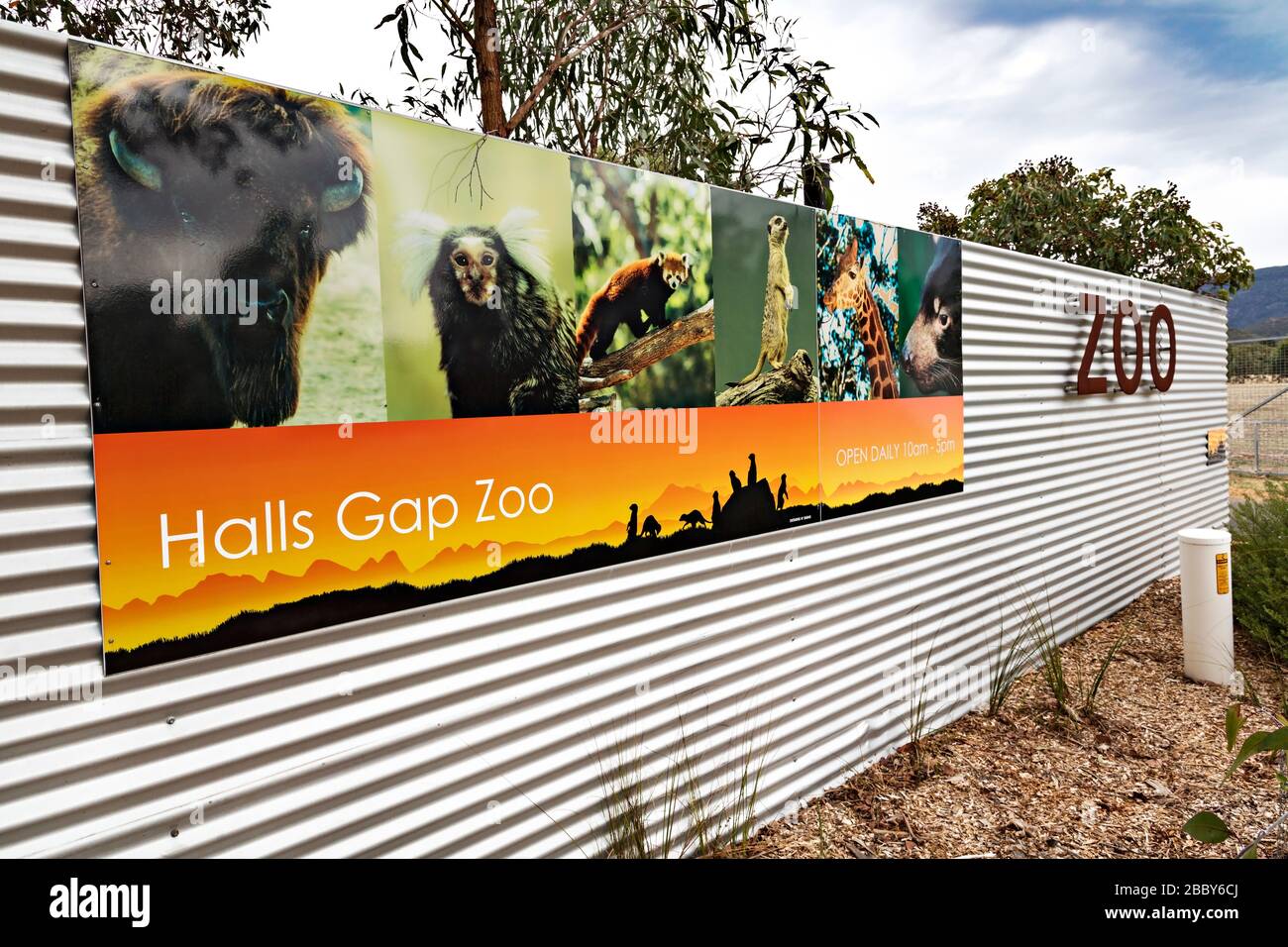 Australische zoos -Fotos und -Bildmaterial in hoher Auflösung – Alamy