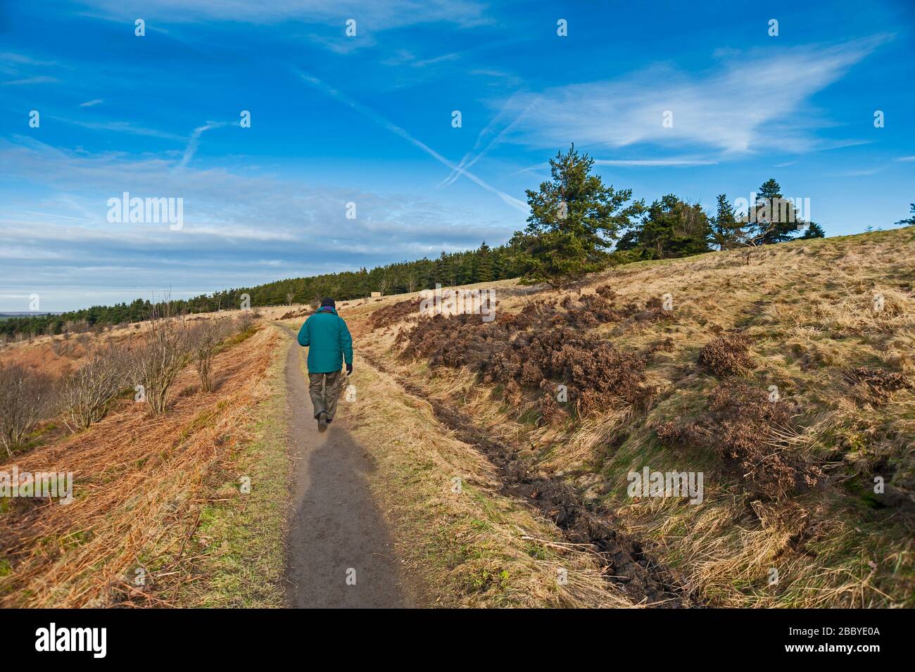 Person im Freien, die auf dem Fußweg in der ländlichen Landschaft spazieren geht Stockfoto