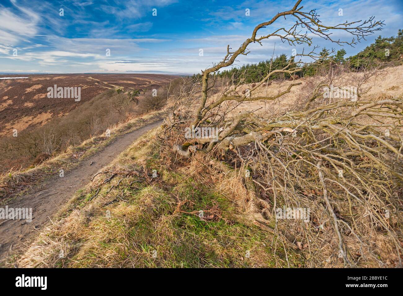 Blick über ein Tal in der englischen Landschaft mit bewölktem Himmel Stockfoto