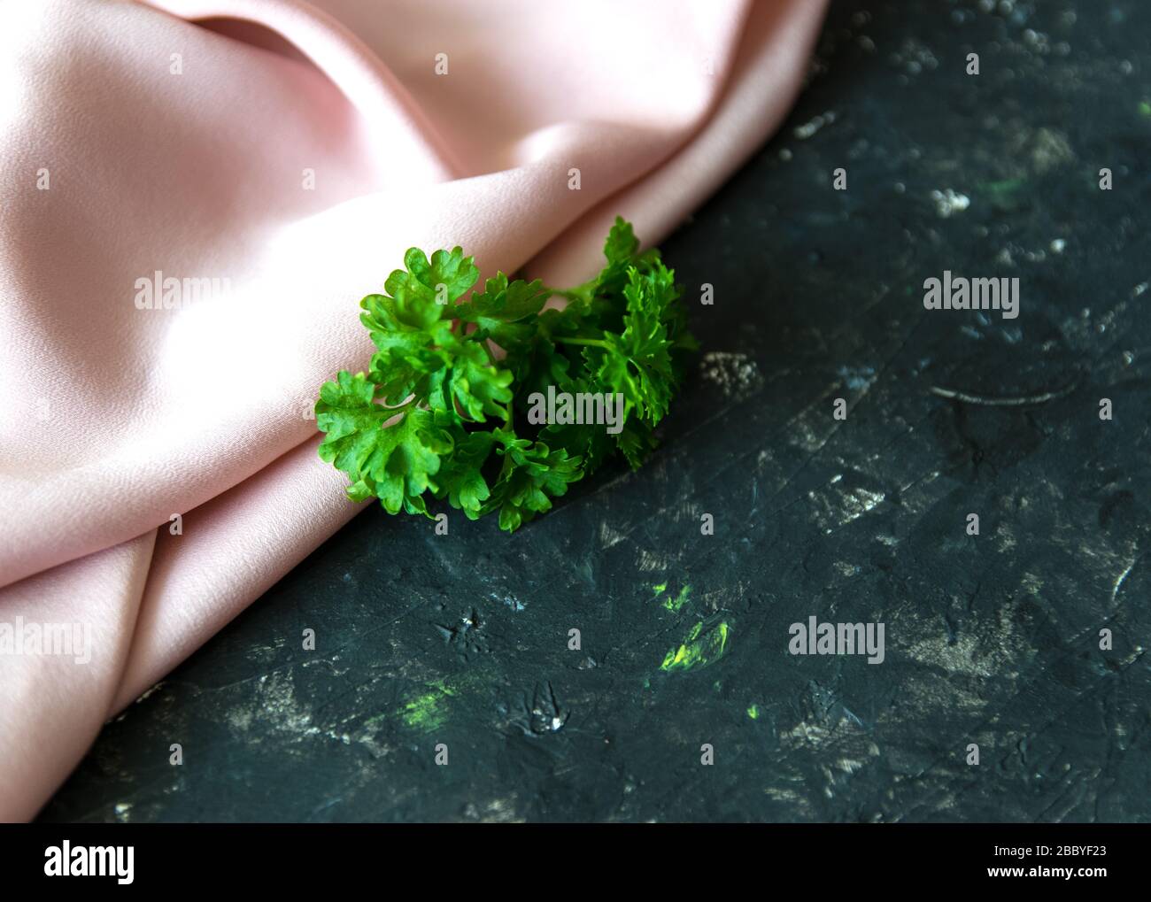 Pinkfarbener, sanfter Seidenstoff und grüne Frühlingskräuter auf dem rauhen schwarzen Texturhintergrund. Naturkonzept. Stockfoto