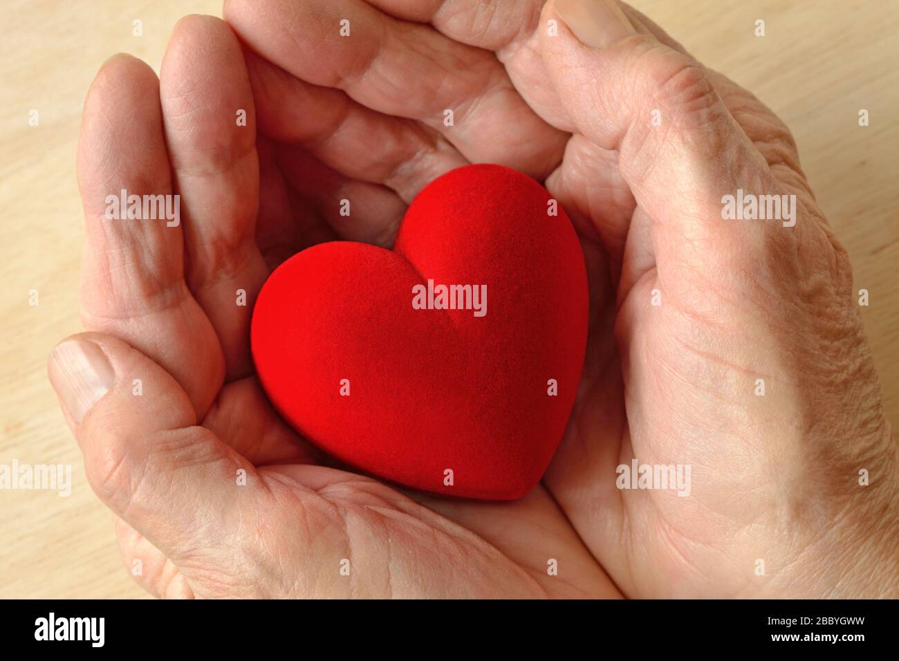 Frau Hände halten Herz - Konzept der Liebe und der Spende Stockfoto