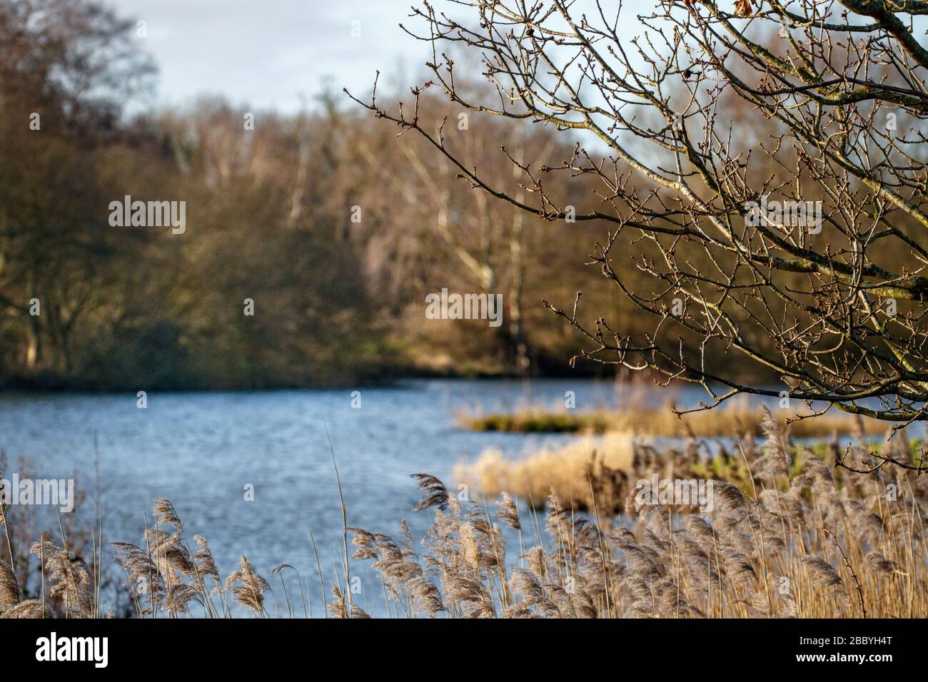 Blick über den See Stockfoto
