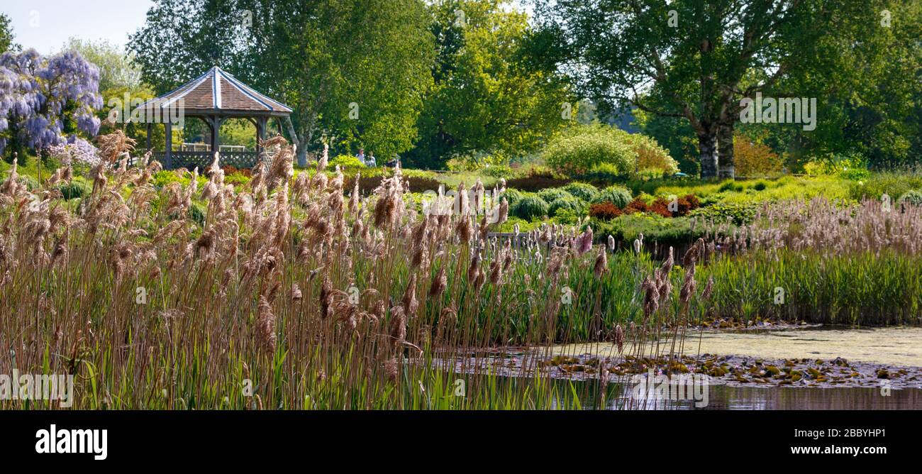 Blick auf den garten von arccos zur Pergola Stockfoto