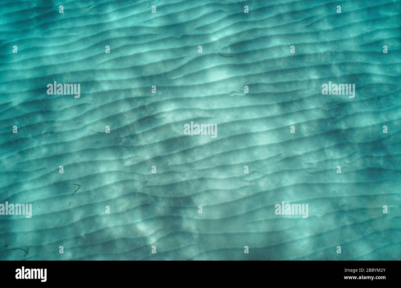 Der Sand wellt sich unter Wasser auf dem Meeresgrund, von oben gesehen, natürliche Szene, Mittelmeer Stockfoto