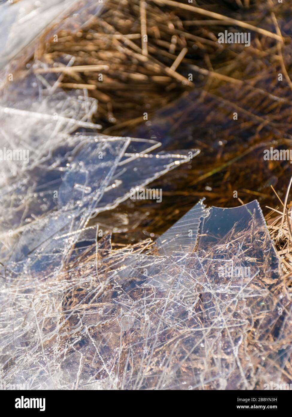 Abstrakter Bildhintergrund mit Trockenrasen, dünnem Eis und Wassertexturen wird der Wind an der Küste durch Eis zerstört Stockfoto