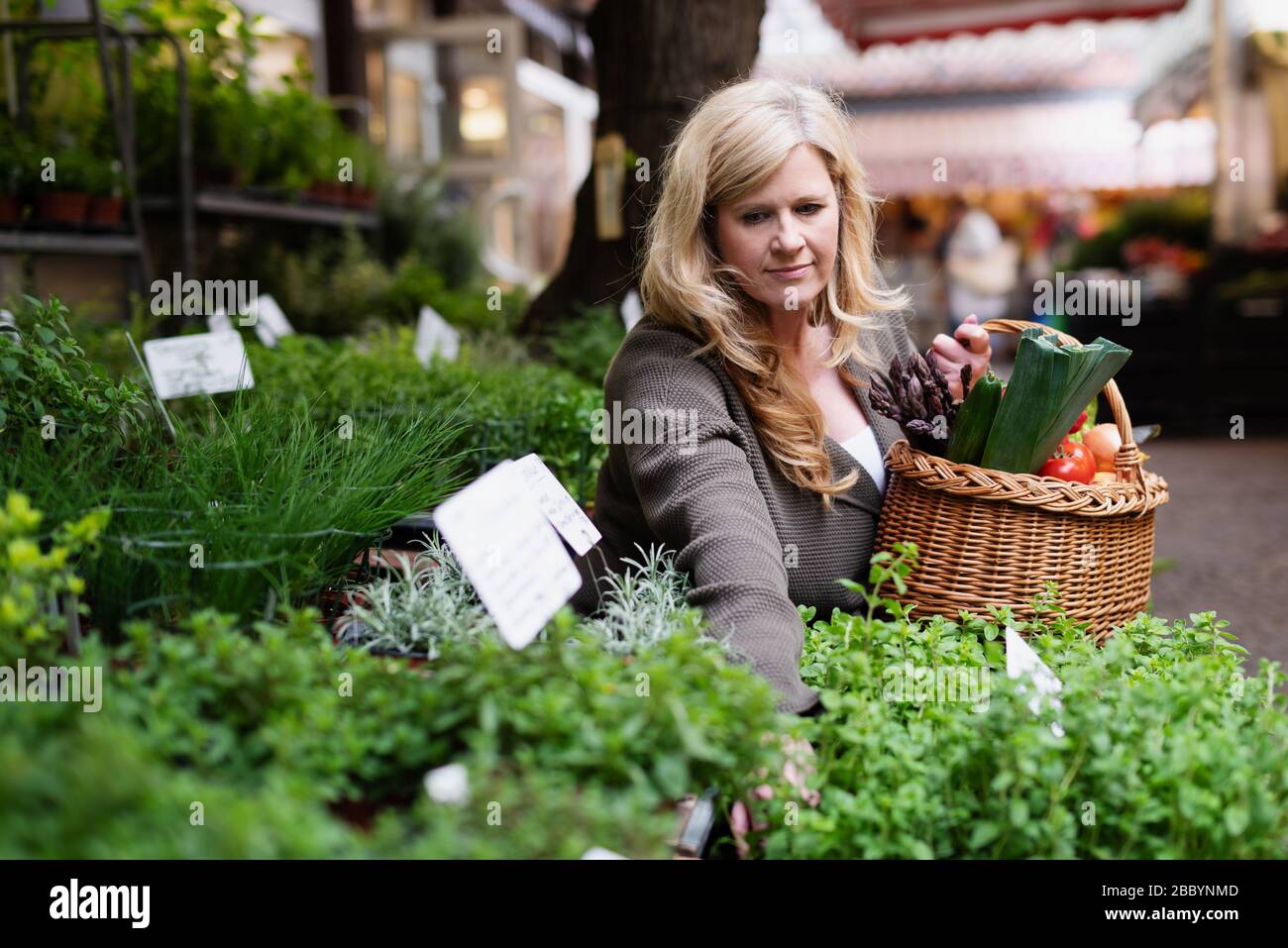 Eine attraktive Frau mittleren Alters kauft frische Produkte auf dem Markt Stockfoto