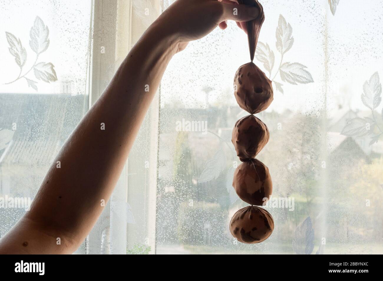 Hühner Eier in Strumpfhosen mit Zwiebelhäuten und Leinsamen, bereit, durch Kochen in Farbstoff dekoriert zu werden. Stockfoto