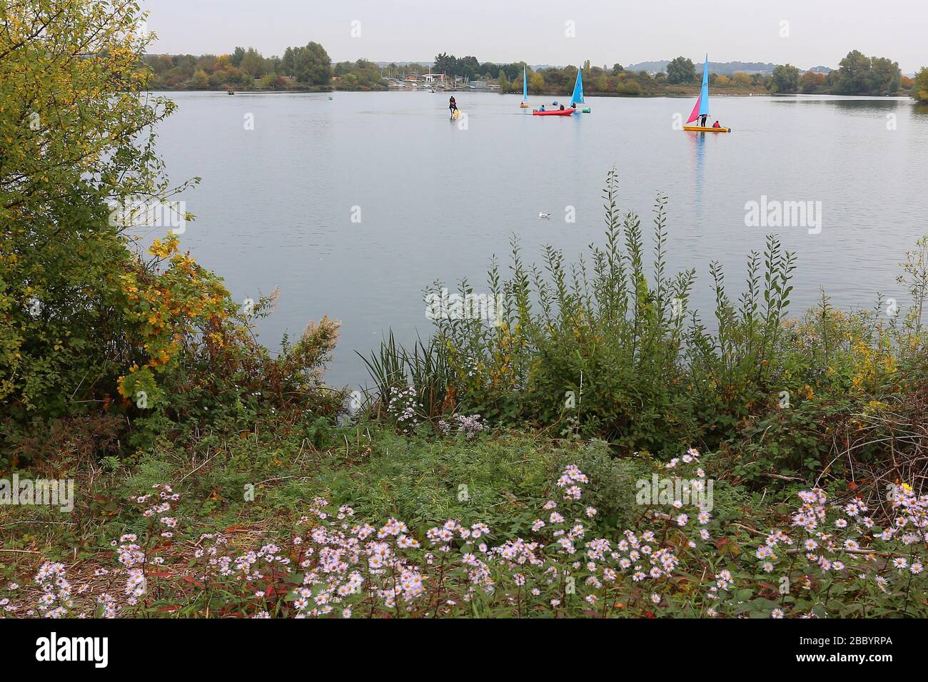 Allgemeiner Blick auf den See. Fairlop Waters County Park, Barkingside, London Borough of Redbridge Stockfoto