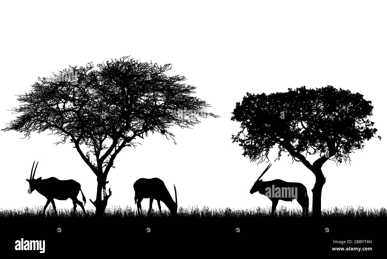 Abbildung der afrikanischen Landschaft auf Safari mit Antilopen oder Gazellen unter tropischen Bäumen. Tiere weiden auf dem Gras. Isolierte Silhouetten auf Weiß Stock Vektor
