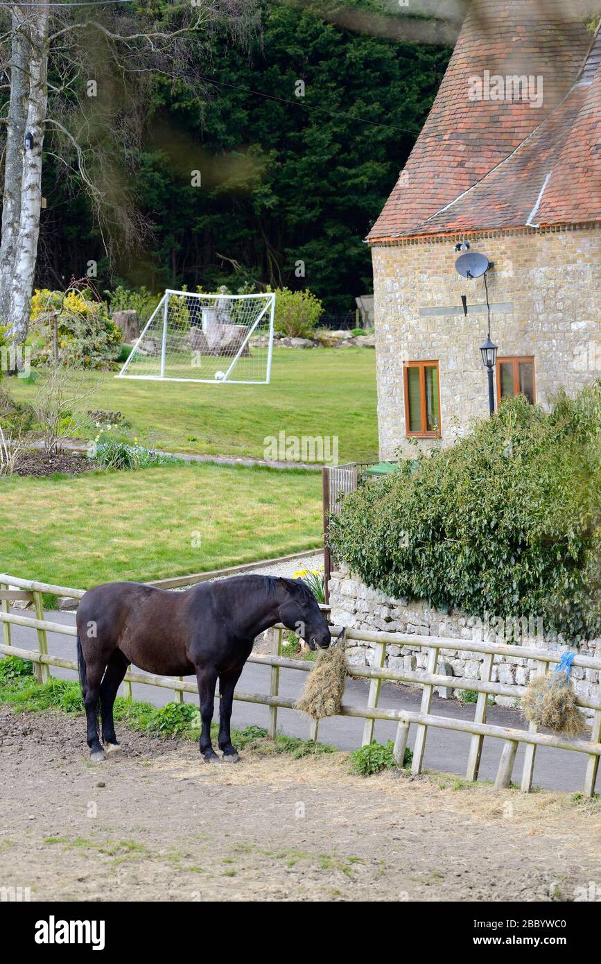 Loose Village, Kent, Großbritannien. Pferd weidet auf einem Feld neben einem umgebauten Osthaus mit einem Fußballziel im Garten Stockfoto