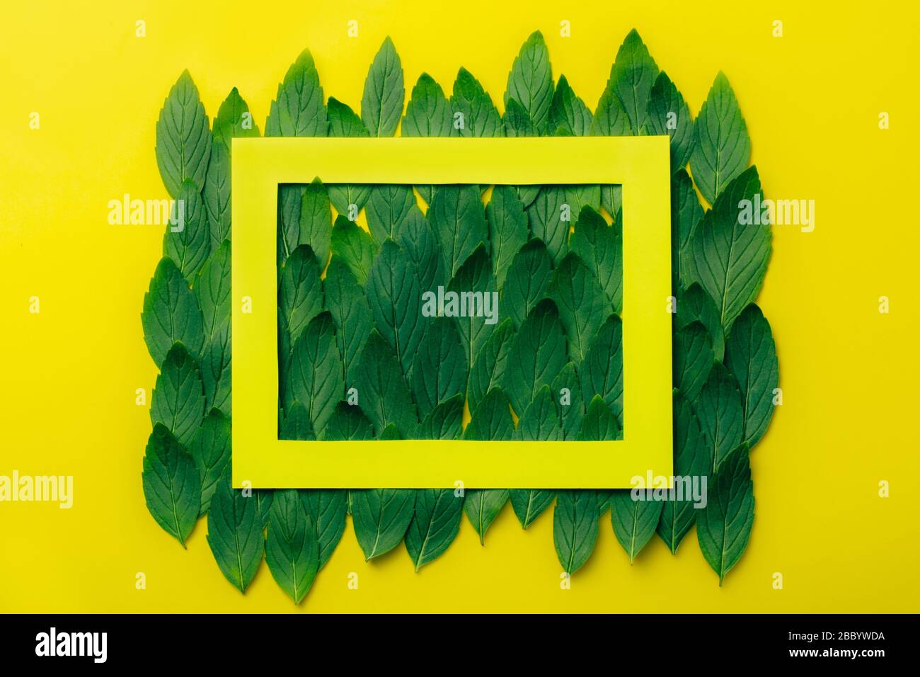 Grüne Minze hinterlässt Muster auf gelbem Hintergrund mit Papierrahmen. Ökologie Naturkreatives Konzept. Blick auf die Natur mit Gewürzkräutern. Stockfoto
