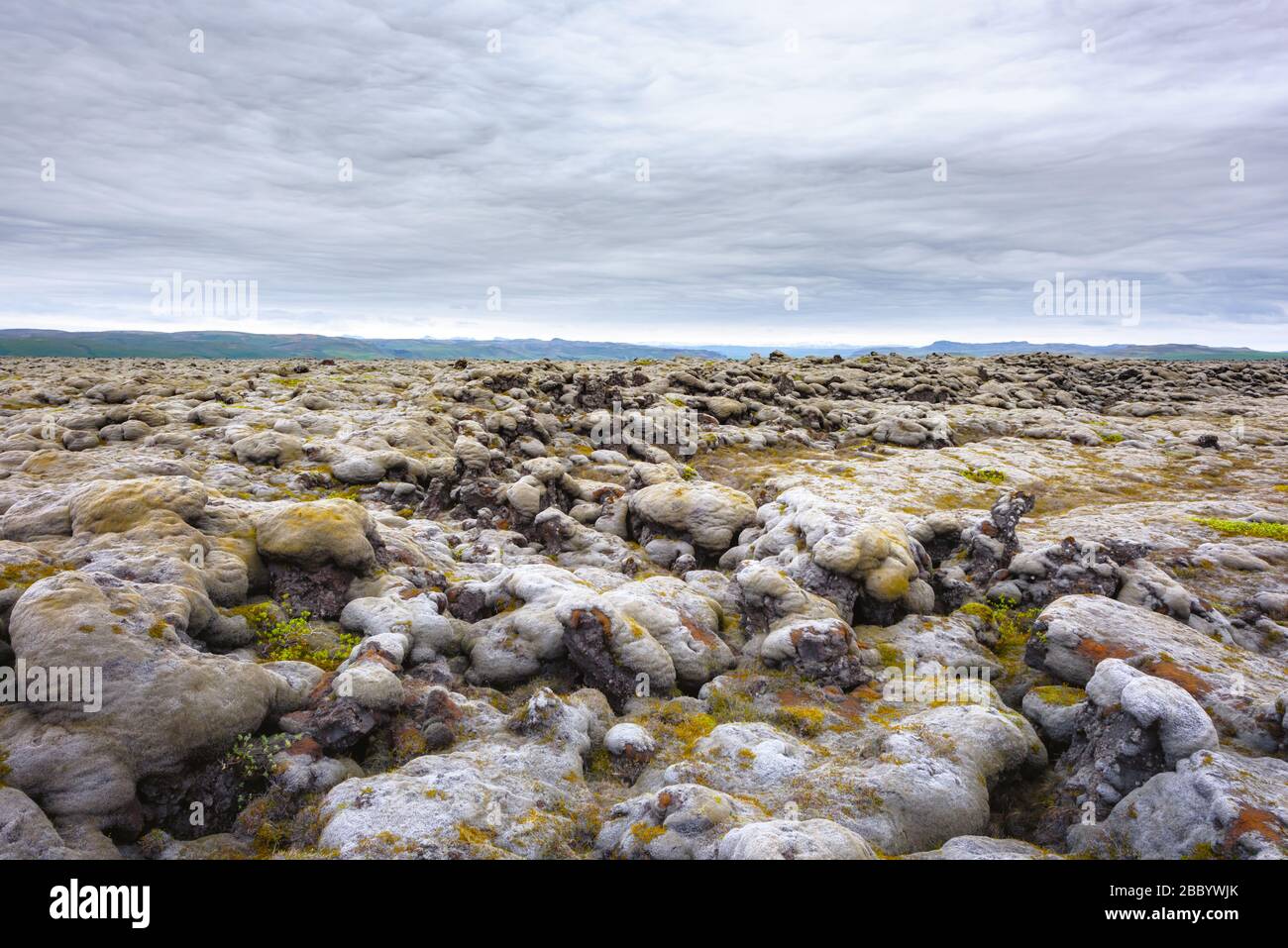 Eigenartige Landschaft aus Island mit Lavafeld, bedeckt mit braunem Moos Eldhraun aus Vulkanausbruch und bewölktem Himmel Stockfoto