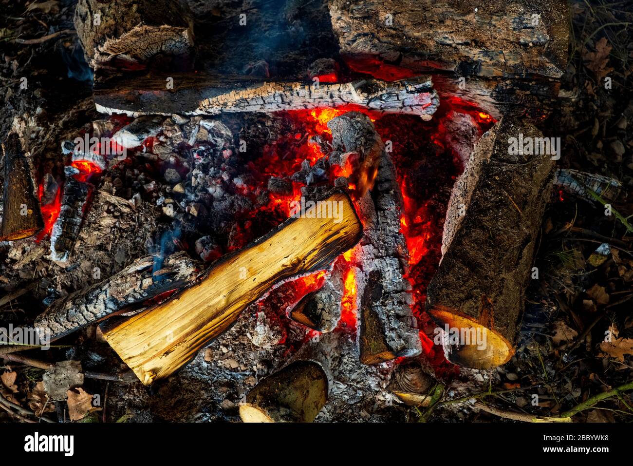 Glühendes Feuer im Freien mit verbrannten und frischen Holzstämmen, Asche und brennendem Feuer Stockfoto