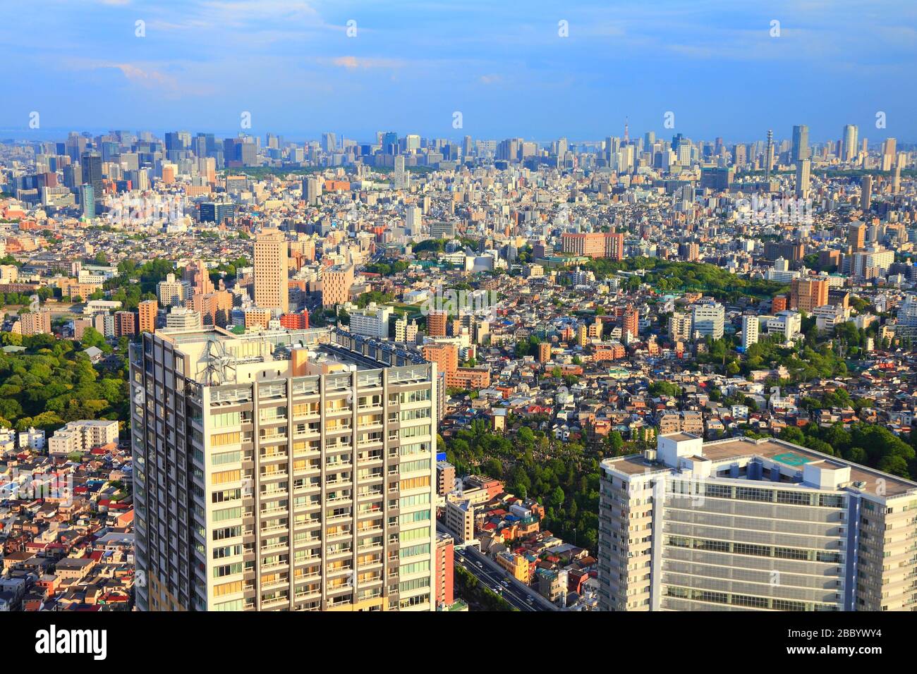 Skyline von Tokio - Blick auf die Stadt mit den Stationen Ikebukuro, Minato und Shinjuku. Warmes Licht bei Sonnenuntergang. Stockfoto