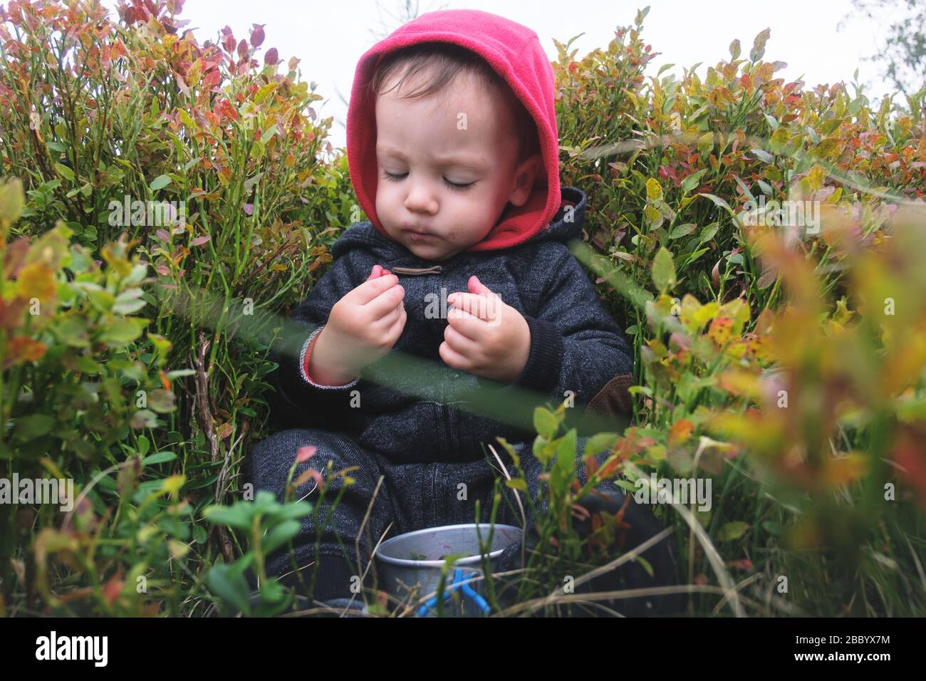 Kleines Kind, das in Beeren bushs in den Herbstbergen sitzt. Reisekonzept Stockfoto