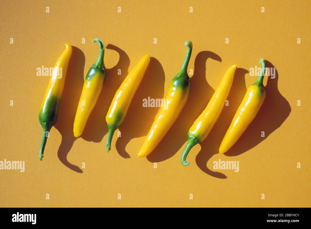 Gelbe heiße Paprika auf gelbem Hintergrund. Lebensmittelfotografie Stockfoto