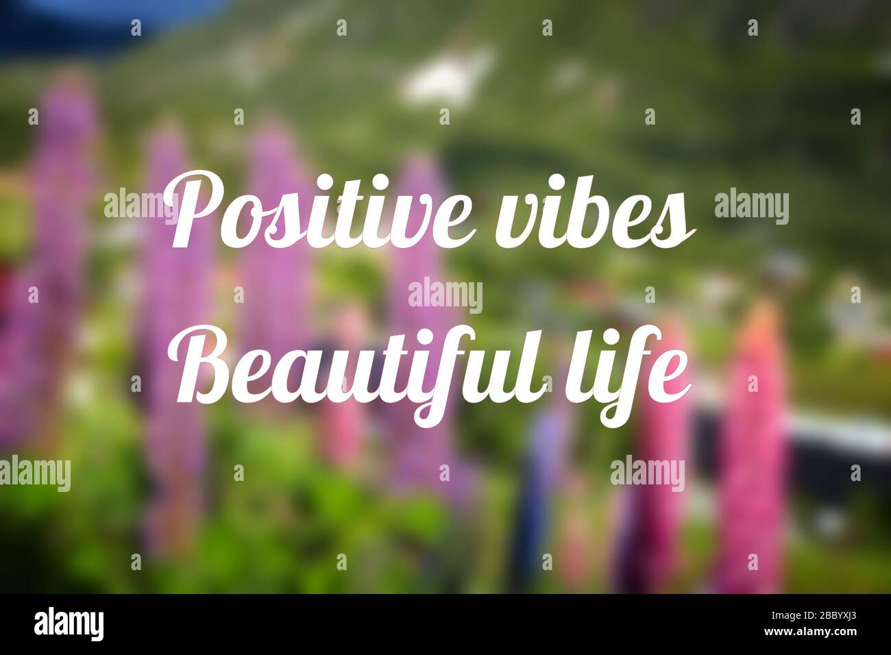 Positive Stimmung, schönes Leben. Poster mit motivierenden Angeboten. Erfolgsmotivation. Stockfoto