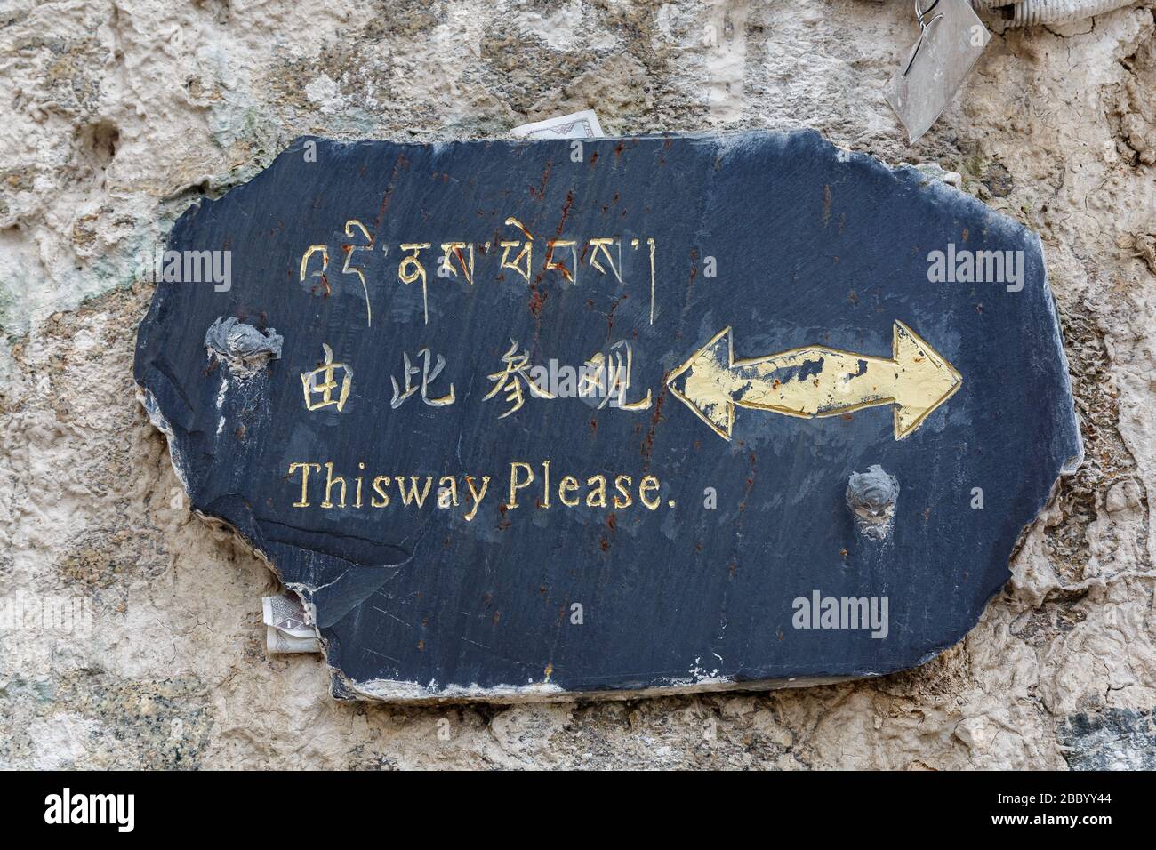 Mehrsprachiges Schild mit zweiseitigem Pfeil und Schriftzug 'This Way please'. Konzept für die Wahl, den richtigen Weg finden, Verwirrung, verloren gehen. Stockfoto