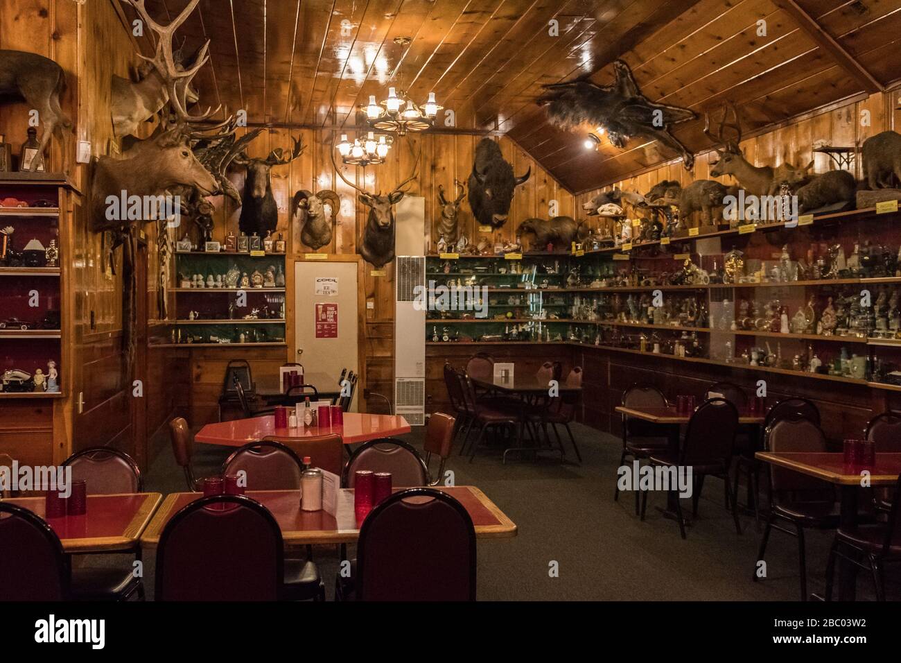 Detail des Innenraums des Mohawk Restaurants mit mehreren gefüllten Tieren,  Crescen Stockfotografie - Alamy