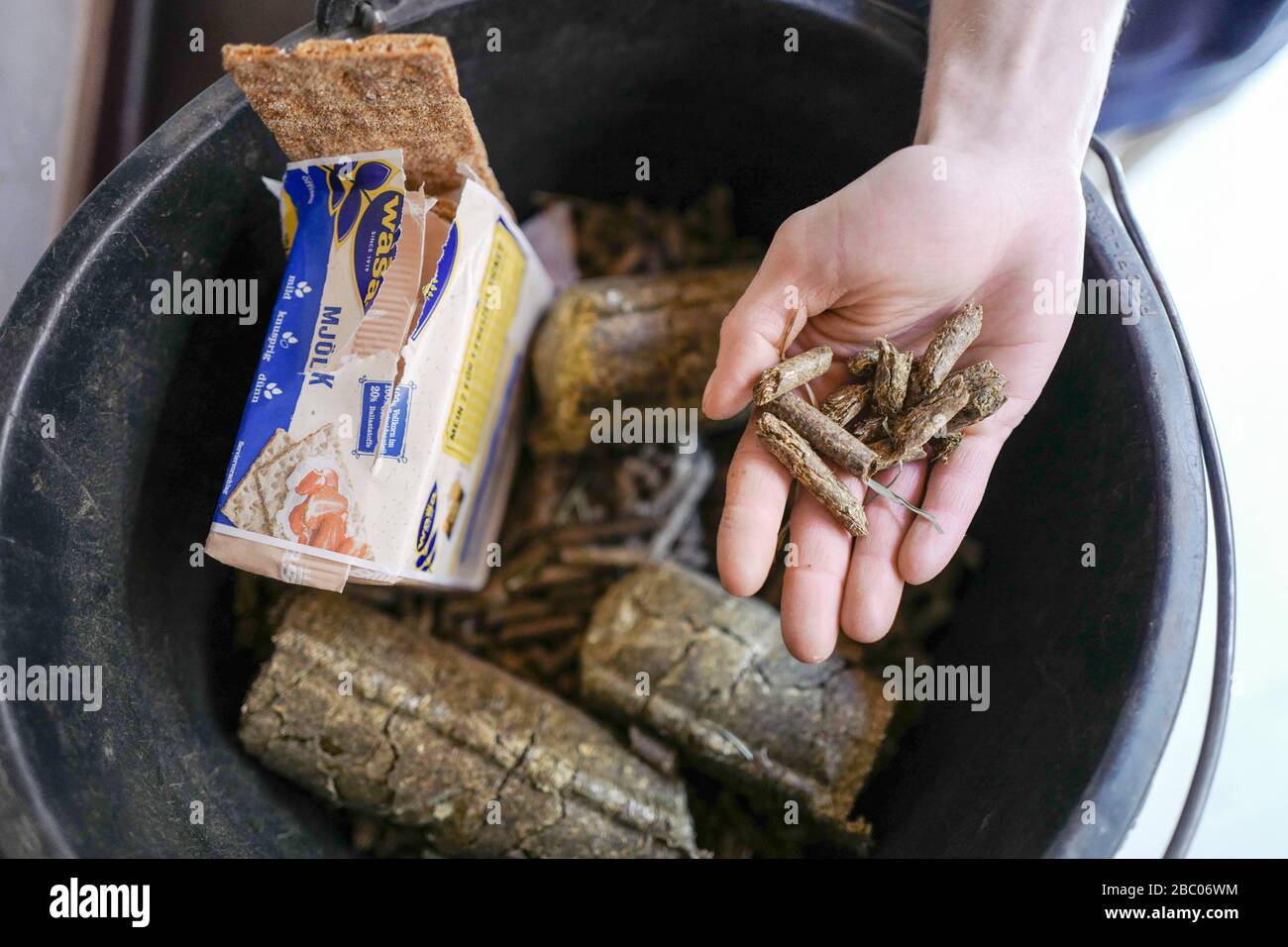 Ein Tag mit den Auszubildenden im Hellabrunner Zoo: Knäckebrot und konzentriertes Futter. [Automatisierte Übersetzung] Stockfoto