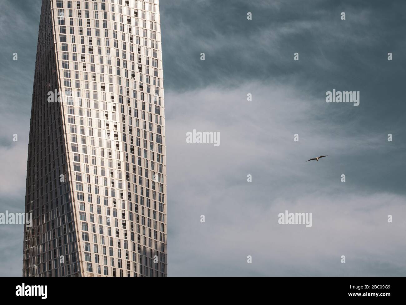 Detail des Cayan Tower in Dubai gegen den blauen Himmel und einen Vogel fliegen. Stockfoto