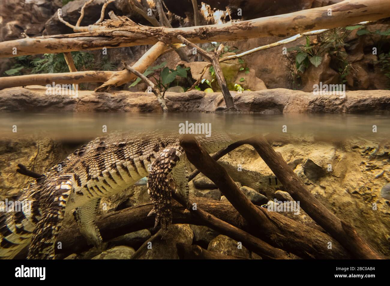 Spanien, Kanarische Inseln, Gran Canaria, Las Palmas - das Aquarium Poema del Mar, am Hafen Stockfoto