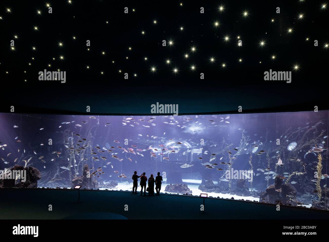 Spanien, Kanarische Inseln, Gran Canaria, Las Palmas - das Aquarium Poema del Mar, am Hafen Stockfoto