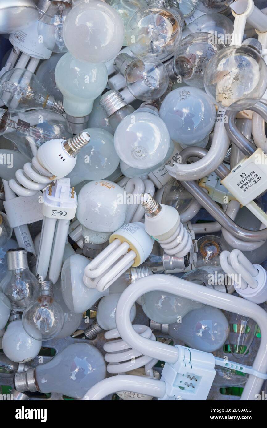 Recyclingmaterial am Sammelpunkt, Irland. Gebrauchte Glühbirnen. Stockfoto