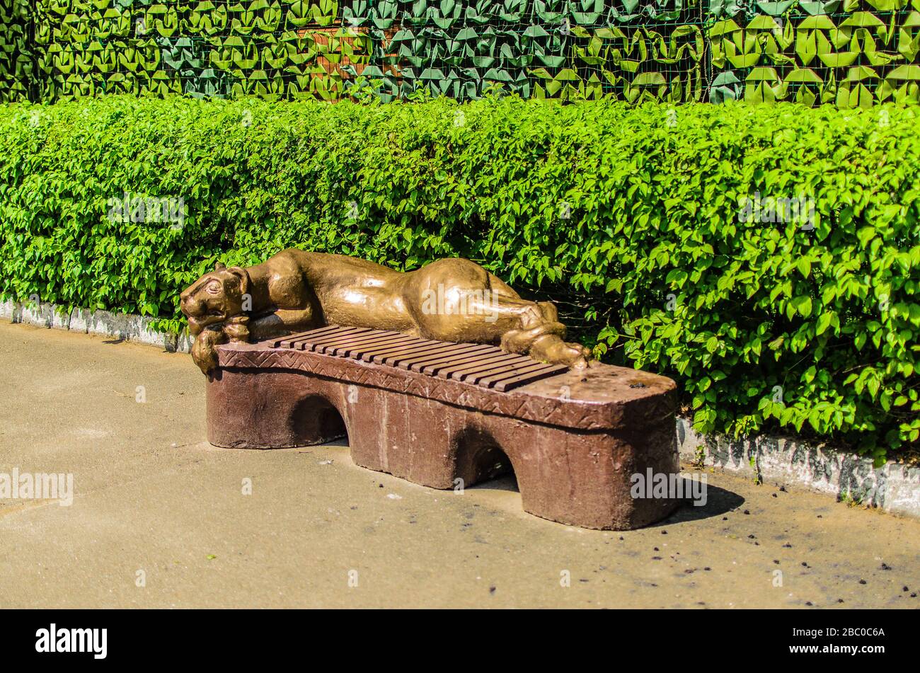 Braune Bank mit goldener Statue einer ruhenden Löwin vor dem Hintergrund grüner Büsche in einem Kiewer Zoo. Stockfoto