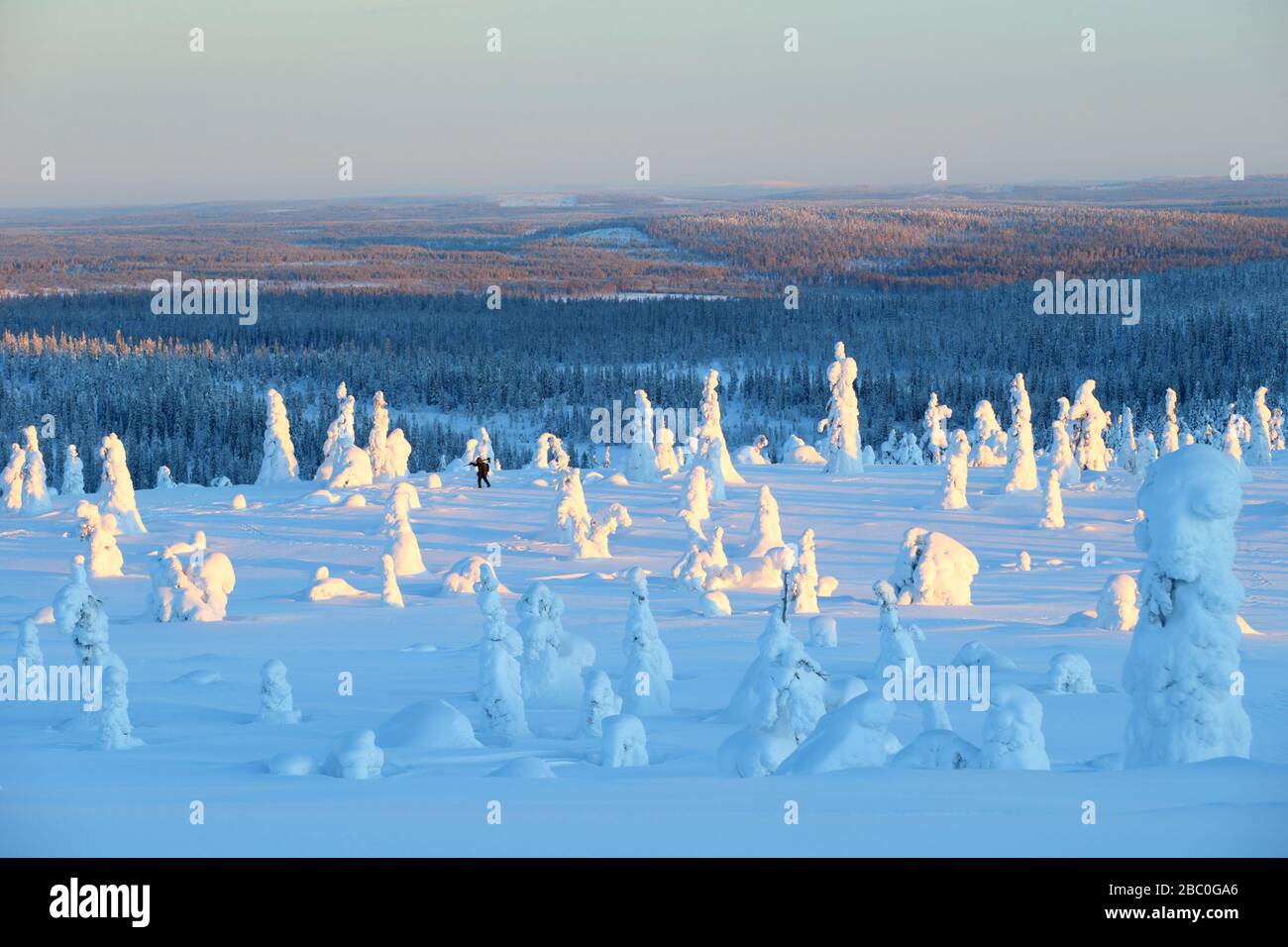 Naturfotograf im Riisitunturi Nationalpark, Lappland, Finnland Stockfoto