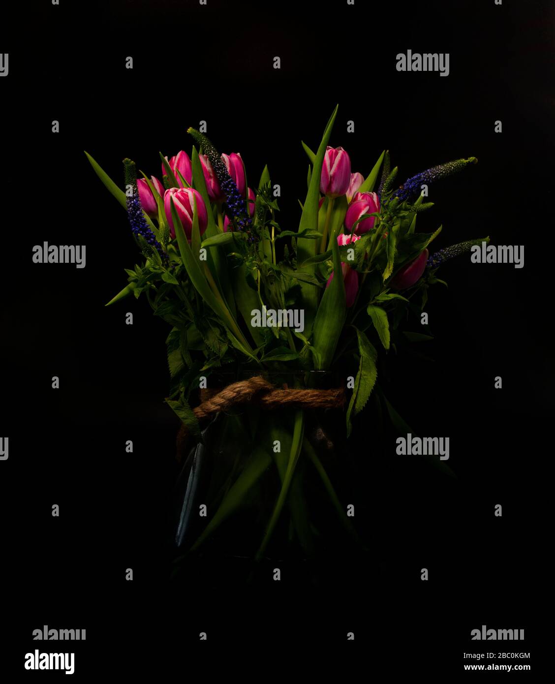 Vase mit lila holländischen Tulpen Stillleben mit schwarzem Hintergrund Stockfoto
