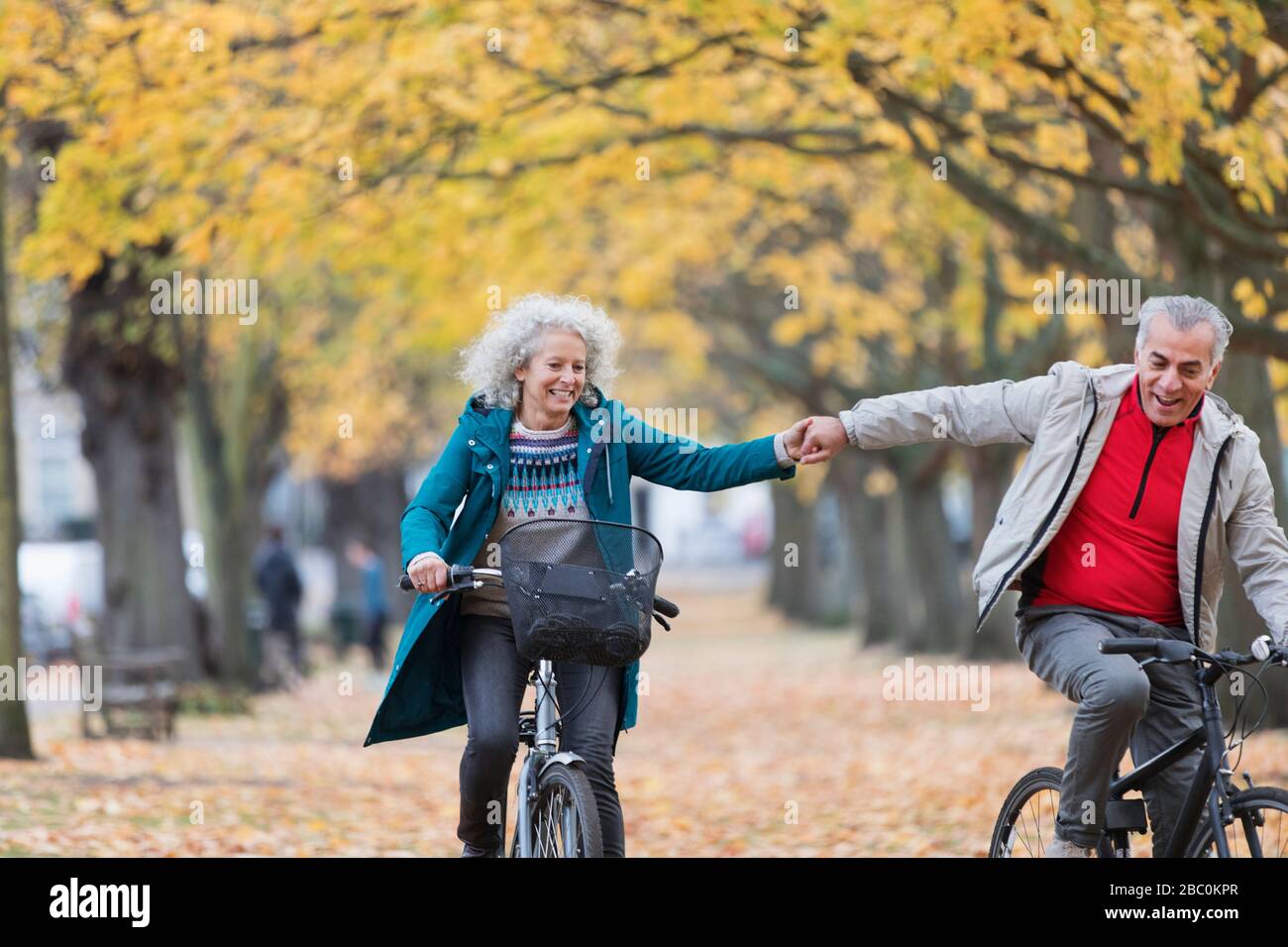 Liebevolles Senioren-Paar hält die Hände, Fahrradfahren im Herbstpark Stockfoto