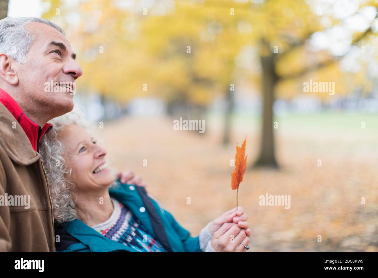 Liebevolles, neugieriges Senioren-Paar, das im Herbstpark Blatt hält Stockfoto