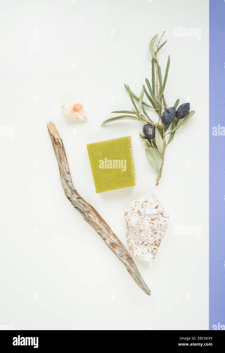 Sommerzeitkonzept mit Meeresschalen, olivem Seifenbarren und schönem Olivenzweig auf weißem Hintergrund. Stockfoto