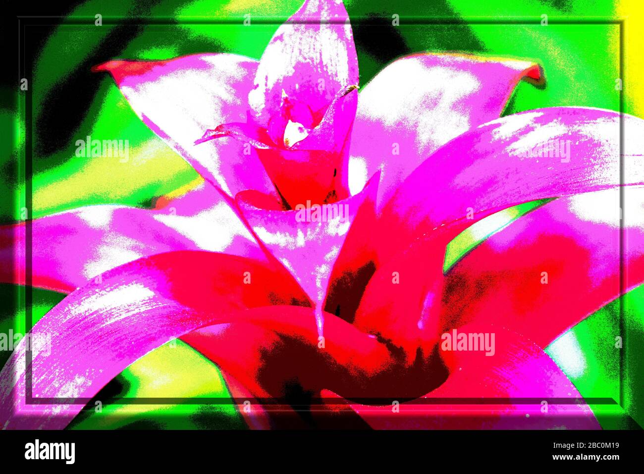 Foto einer Blume, die mit 3D-Farbabbildung bearbeitet wurde. Makrofotografie mit Software manipuliert. Stockfoto