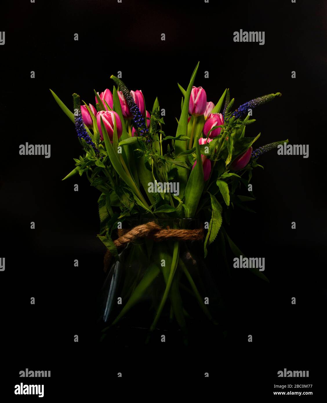 Vase mit lila holländischen Tulpen Stillleben mit schwarzem Hintergrund Stockfoto