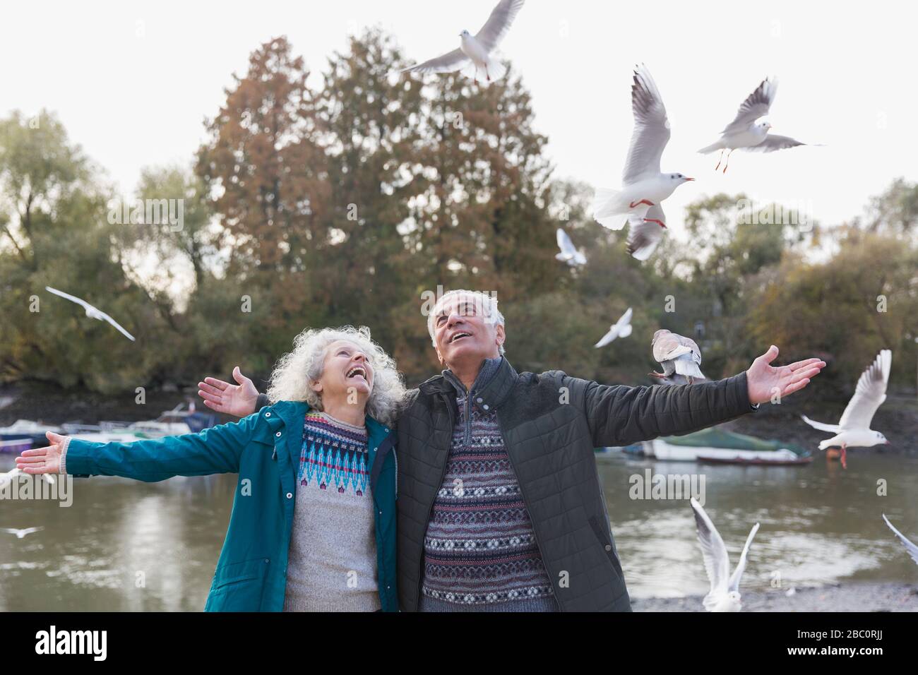 Energiegeladenes, verspieltes Senioren-Paar, das fliegende Vögel am Teich im Park beobachtet Stockfoto