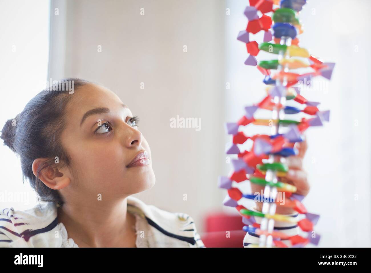Neugierige Studentin untersucht DNA-Modell im Klassenzimmer Stockfoto