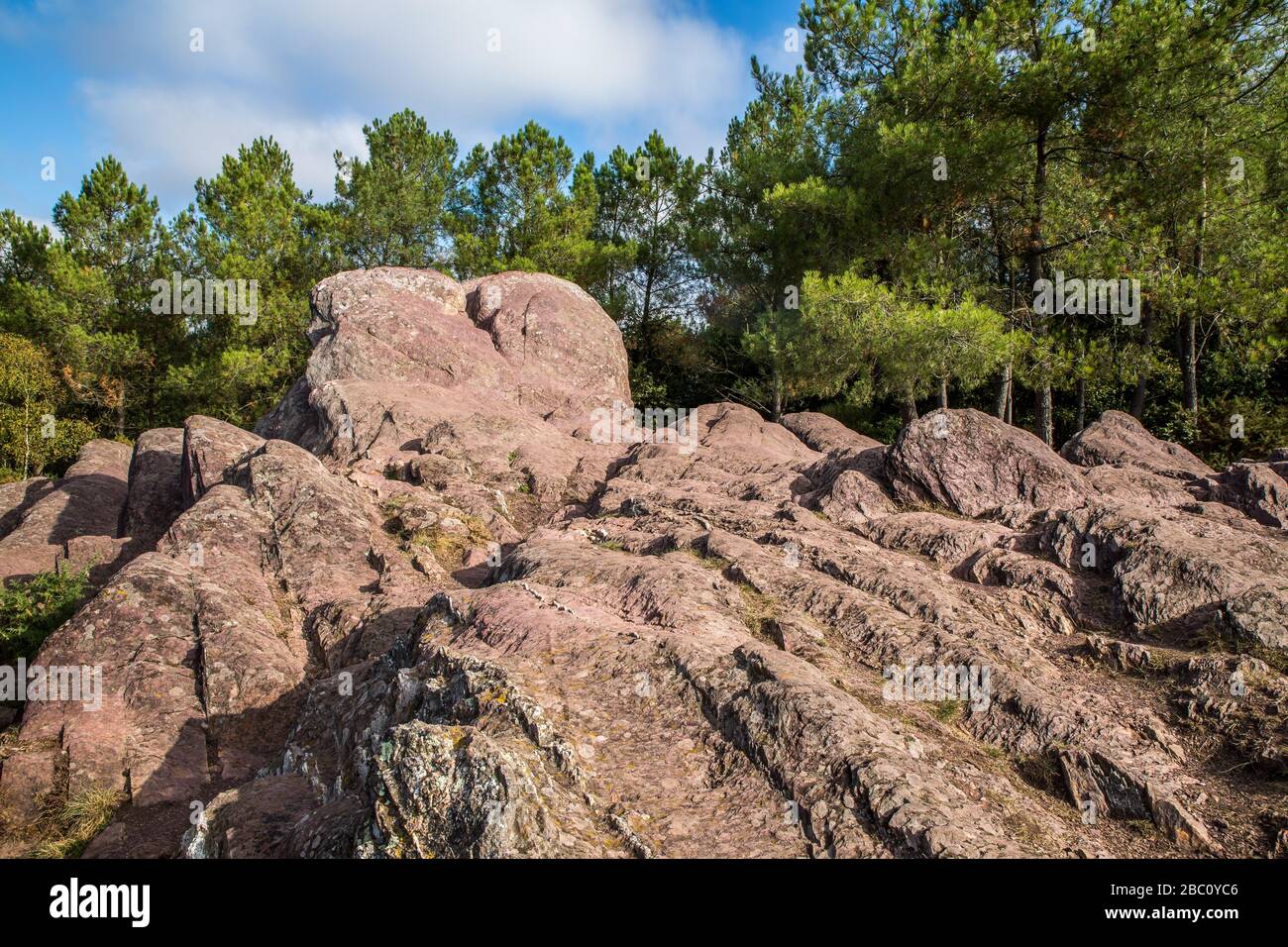 DER WALD VON BROCELIANDE, DIE LEGENDÄRE STÄTTE, DIE ALS DOMÄNE VON MORGAN LE FAY BEKANNT IST, KÖNIG ARTHURS HALBSCHWESTER, KANNTE SIE DIE MAGIE VON MERLIN, TREHORENTEUC (35), BRETAGNE, FRANKREICH Stockfoto