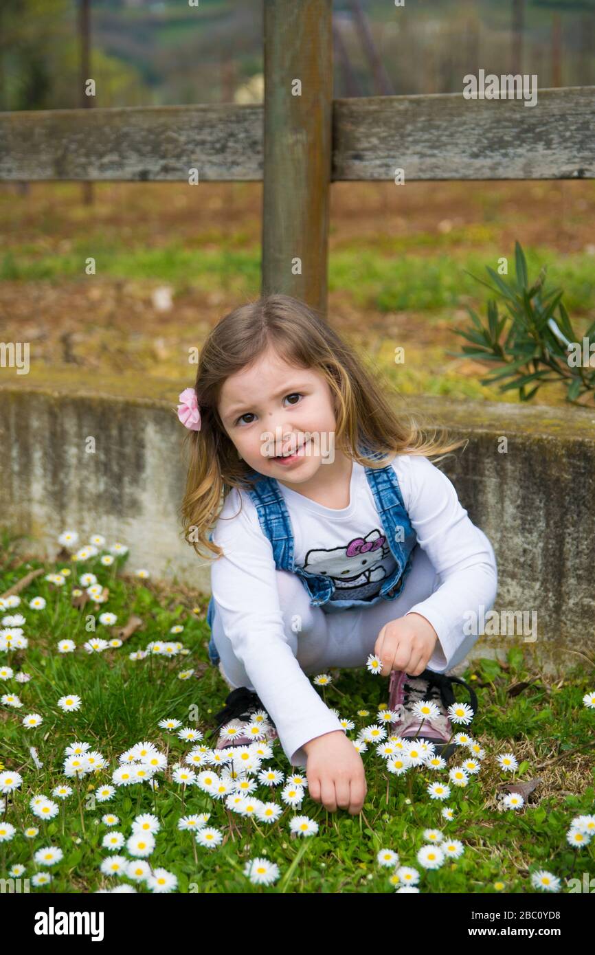 Verona, Italien - 29. März 2015: Kind sammelt Gänseblümchen auf einem Spielplatz im Freien. Stockfoto