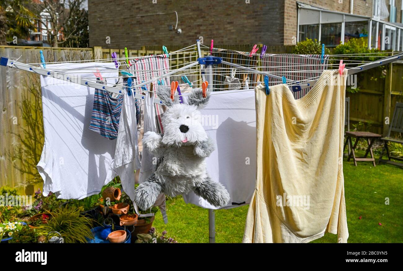 Wasserflasche Hundedeckel tun auf einer rotierenden Wäscheleine während im Wind im Garten UK Stockfoto