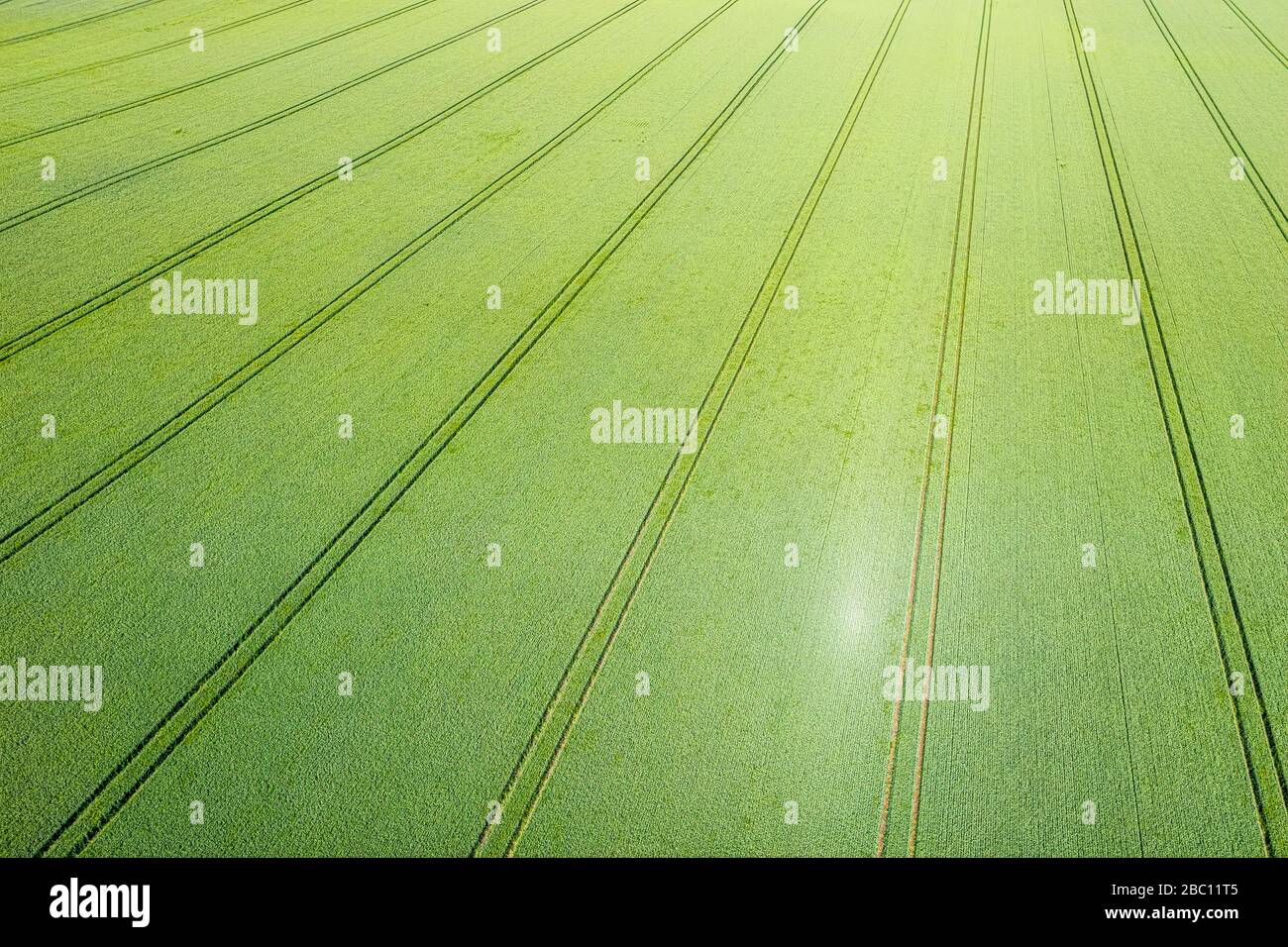 Schottland, East Lothian, Luftbild von Landmaschinen in Feldfrüchten. Stockfoto