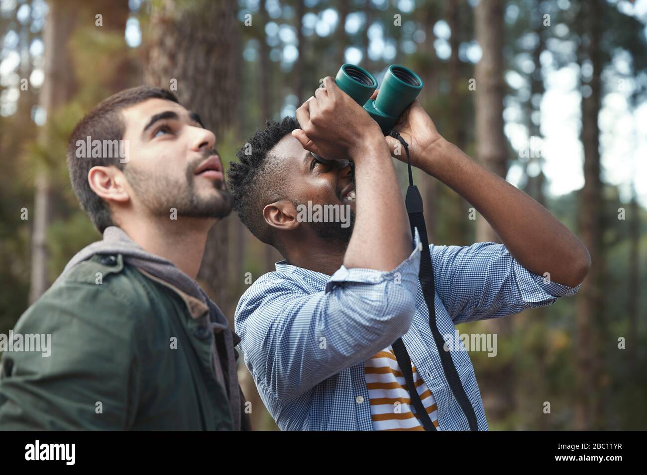 Junge Männer mit Ferngläsern Vogelbeobachtung im Wald Stockfoto