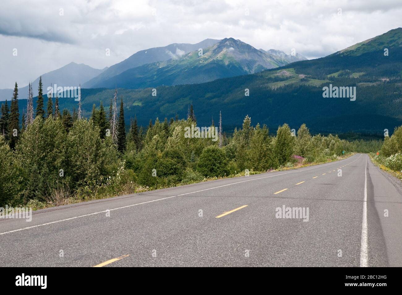 Der malerische Stewart-Cassiar Highway #37, die nordöstlichste Straße, die durch die Skeena Mountains führt, im Norden British Columbias, Kanada Stockfoto